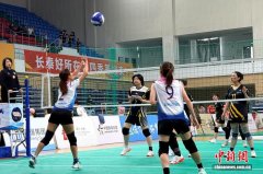 >海内外近1500名气排球参赛者汇